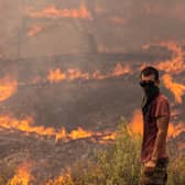 The wildfires on Rhodes are a climate disaster that has prompted growing concern about the lack of effective action to tackle global warming. Picture: Dan Kitwood/Getty Images
