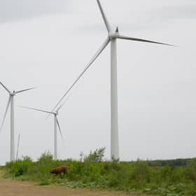 ​Energy transition technologies come with greater performance risk (Picture: John Devlin)