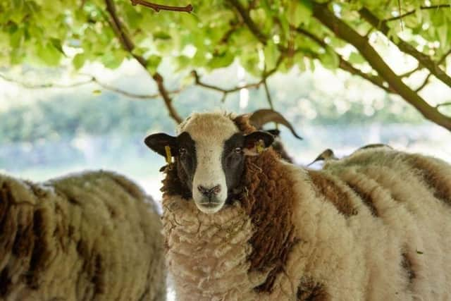 Newhall Mains is a reimagining of the traditional “Mains” building of a Scottish farm or working estate.