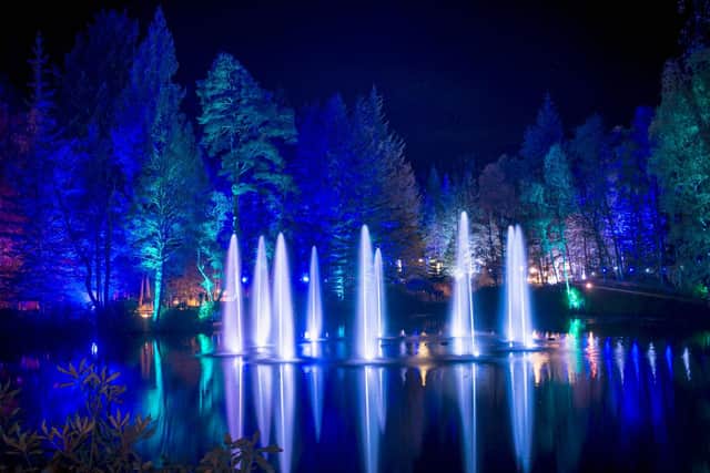 The Enchanted Forest is one of Scotland's most popular outdoor events. Picture: VisitScotland/Kenny Lam
