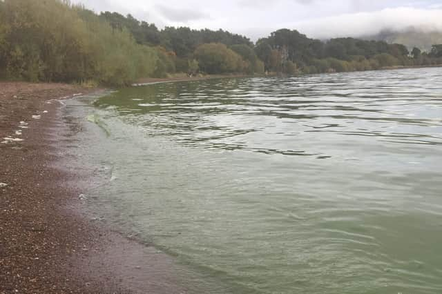 Picture of the water at Burleigh Sands on Loch Leven.