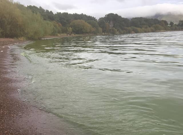 Picture of the water at Burleigh Sands on Loch Leven.