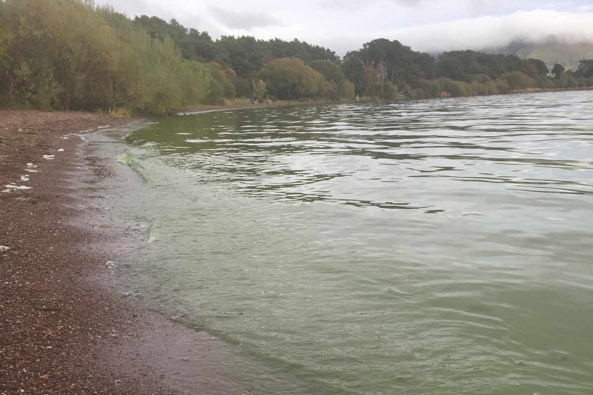 Scottish Government allowing untreated sewage to pour into specially protected Loch Leven