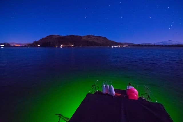 Adventurous folk can try something really different - such as night snorkelling off the Argyll coast or diving on shipwrecks in the Clyde. Picture: Shane Wasik/Basking Shark Scotland