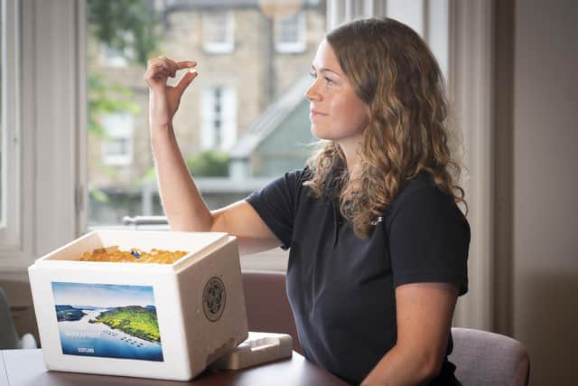 Scottish salmon producer Bakkafrost's veterinary practice and cleaner fish manager Mathilda Lomas examines some salmon eggs. Picture: Mark Gibson