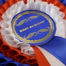 Some breeds of dog have a distinguished record of success at the Westminster Dog Show.