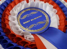 Some breeds of dog have a distinguished record of success at the Westminster Dog Show.