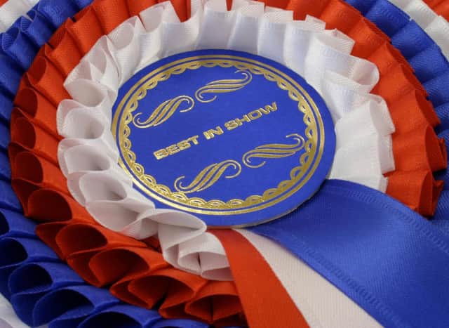 Some breeds of dog have a distinguished record of success at the Westminster Dog Show.