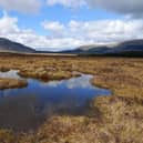 The maintenance of peat bogs, and restoration of damaged vegetation, is seen as providing a natural solution to climate change