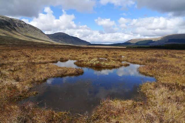 The maintenance of peat bogs, and restoration of damaged vegetation, is seen as providing a natural solution to climate change
