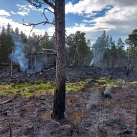 The fire was reported on Saturday afternoon near Loch Morlich at the Cairngorms National Park. (Credit: Crew Commander, Jamie Stewart, SFRS (Aviemore))