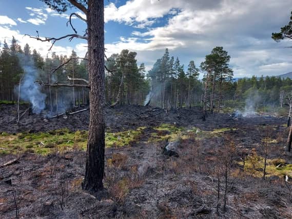 The fire was reported on Saturday afternoon near Loch Morlich at the Cairngorms National Park. (Credit: Crew Commander, Jamie Stewart, SFRS (Aviemore))