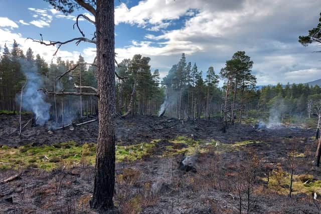The fire was reported on Saturday afternoon near Loch Morlich at the Cairngorms National Park. (Credit: Crew Commander, Jamie Stewart, SFRS (Aviemore))