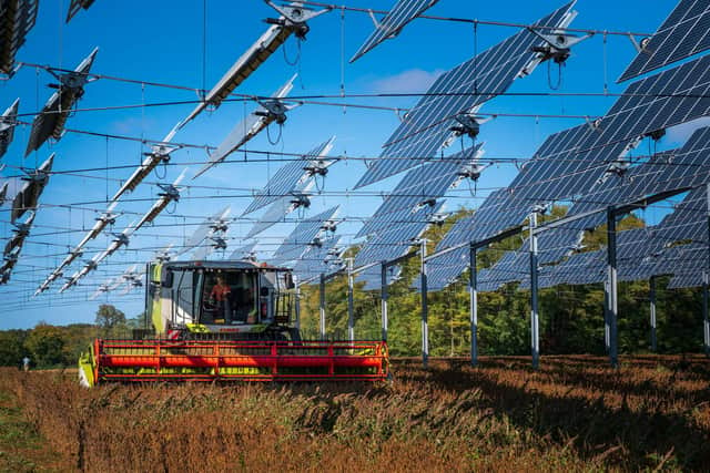 Solar panels, like these hanging over a field of soybeans in France, are a cheap and green way to produce energy (Picture: Patrick Hertzog/AFP via Getty Images)