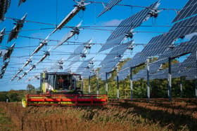 Solar panels, like these hanging over a field of soybeans in France, are a cheap and green way to produce energy (Picture: Patrick Hertzog/AFP via Getty Images)