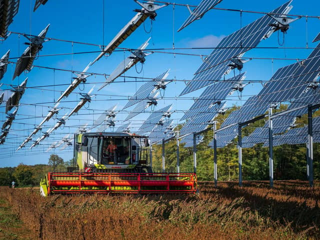 Solar panels, like these hanging over a field of soybeans in France, are a cheap and green way to produce energy (Picture: Patrick Hertzog/AFP via Getty Images)