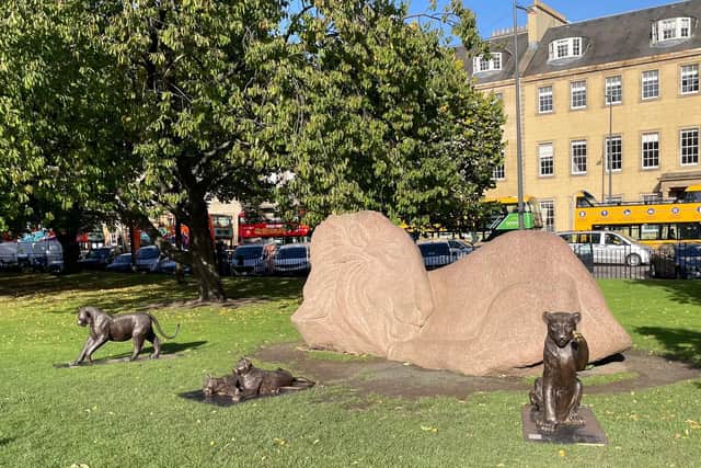 The Lions have been spotted around Edinburgh