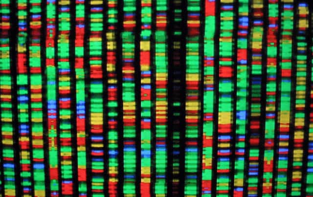 A digital representation of the human genome in which each colour represents one the four chemical components of DNA (Picture: Mario Tama/Getty Images)