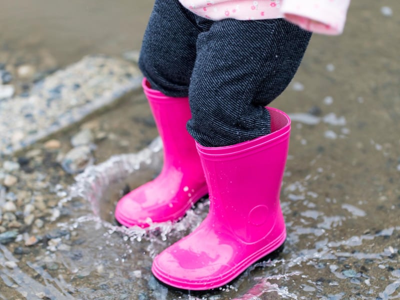 An adorable word that refers to puddles - specifically the kind that kids with their wellingtons love to splash about in.