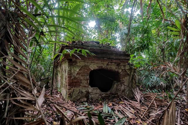 The tomb of Sir James Balfour rediscovered in the deep jungle that now covers his former sugar plantation.