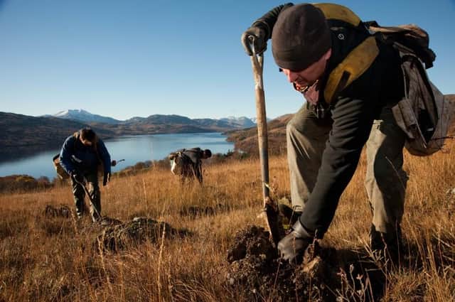 Around 13,000 hectares of new forests are expected to be created across Scotland by the end of the current financial year,  covering an area larger than 22,000 football pitches