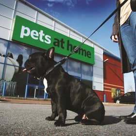 Pets At Home pointed to its growing online platform and estate of 440 First Opinion veterinary practices and 451 stores.