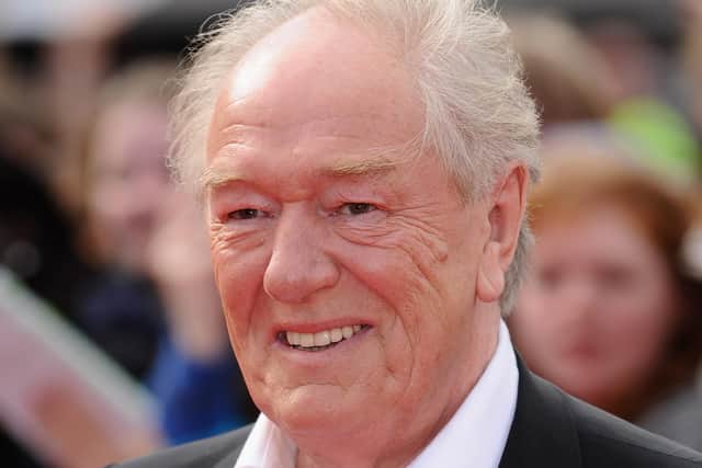 Michael Gambon attends the world premiere of Harry Potter and The Deathly Hallows - Part 2 in London in July 2011 (Picture: Ian Gavan/Getty Images)