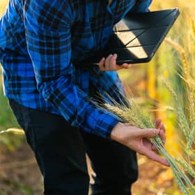 ​Entrepreneurial leadership isn’t about teaching someone how to run a better farm –  it’s about helping people see beyond what they thought was possible (Picture: stock.adobe.com)