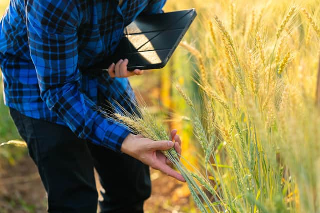 ​Entrepreneurial leadership isn’t about teaching someone how to run a better farm –  it’s about helping people see beyond what they thought was possible (Picture: stock.adobe.com)