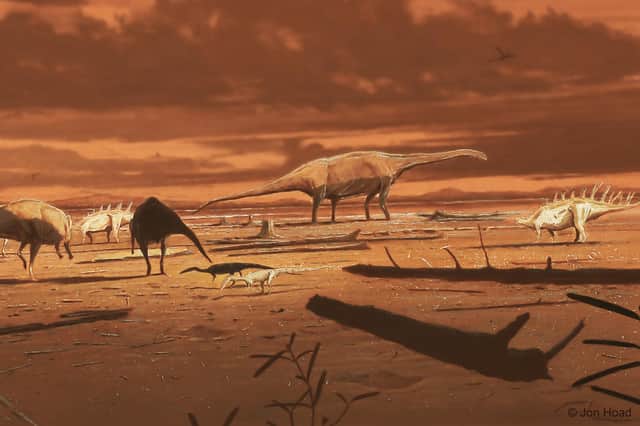 This artist’s impression depicts three dinosaur types –  vegetarian stegosaurs and sauropods and carnivorous therapods – that have been identified from fossils on Skye