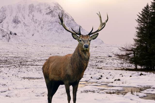 @visitscotland