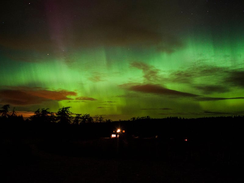 What Galloway Forest Park lacks in northerly latitude it more than makes up for in its lack of human-generated light. It became only the fourth Dark Sky Park in the world in 2009, and the first in the UK, thanks to the lack of people living in 300 square miles of forest and hills. Even if you don't see the Northern Lights, you can still marvel at the constellations.