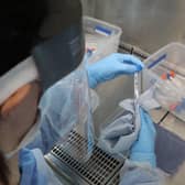 Scotland reported no new coronavirus deaths for the first time since lockdown began.