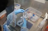 Scotland reported no new coronavirus deaths for the first time since lockdown began.