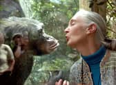 Primatologist Dr Jane Goodall once said, 'what you do makes a difference, and you have to decide what kind of difference you want to make' (Picture: Jens Schlueter/DDP/AFP via Getty Images)