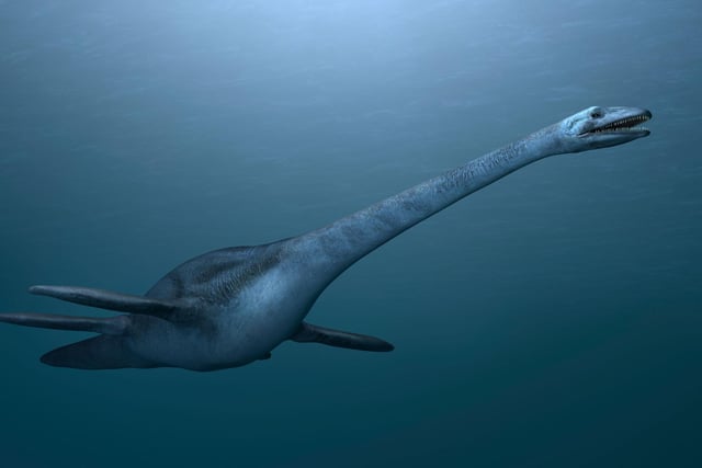 Nessie may get most of the press but it's claimed that a 'cousin' of the world-famous monster lives in Loch Morar. Morag was apparently first spotted 1887, while in 1948 nine people in a boat claimed to have seen a 20ft-long creature in the loch and in 1969 two men said they had accidentally hit her with an oar. Like Nessie, some say that Morag is a survivor from the age of dinosaurs, with a plesiosaur (pictured) the oft-quoted creature in question.