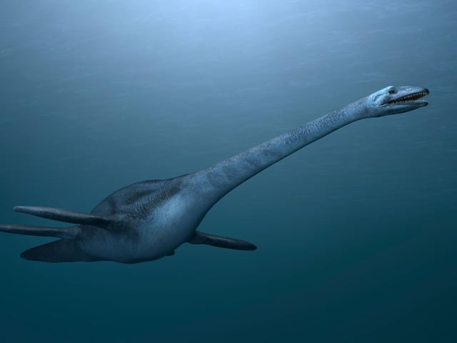 Nessie may get most of the press but it's claimed that a 'cousin' of the world-famous monster lives in Loch Morar. Morag was apparently first spotted 1887, while in 1948 nine people in a boat claimed to have seen a 20ft-long creature in the loch and in 1969 two men said they had accidentally hit her with an oar. Like Nessie, some say that Morag is a survivor from the age of dinosaurs, with a plesiosaur (pictured) the oft-quoted creature in question.
