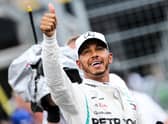 Lewis Hamilton won after a record-breaking year in 2020 (Picture: Shutterstock)