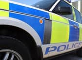 The pair were hit by a vehicle on Beach Road in the town.