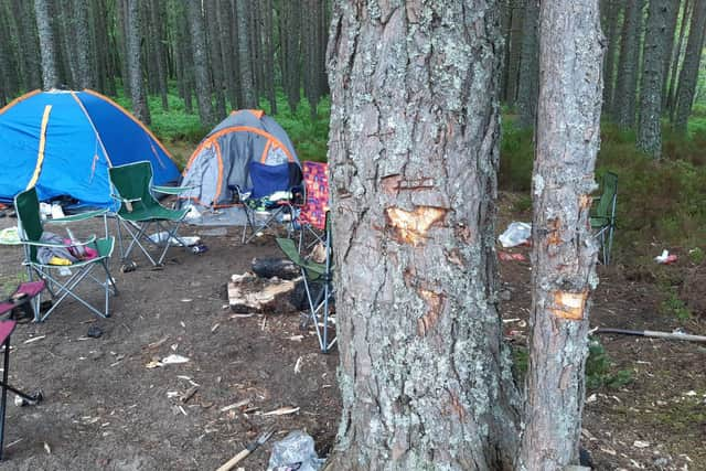 Chunks of wood taken out of trees after the group of men were allegedly chopping them with an axe.