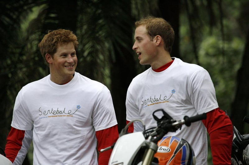 Harry said William urged him to hit back, citing fights they had as children, but Harry refused and William left before returning, looking regretful and apologising.