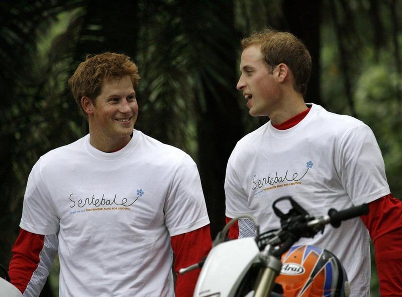 Harry said William urged him to hit back, citing fights they had as children, but Harry refused and William left before returning, looking regretful and apologising.