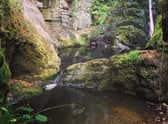 Den of Finella in Aberdeenshire is a not-so-hidden treasure with the beauty sport now being marred by litter. PIC Contributed.