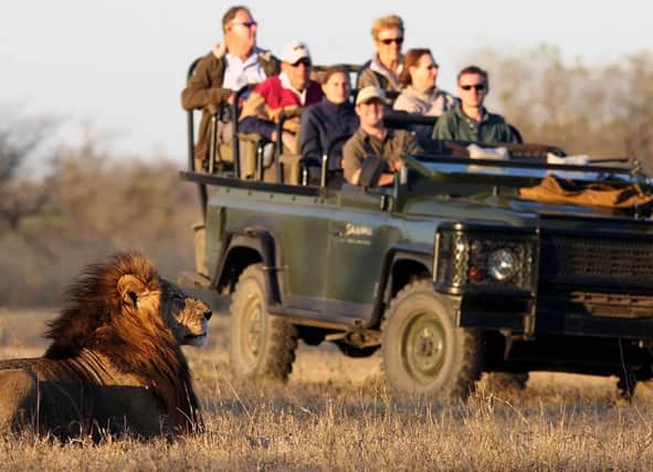 White River Manor offering luxury rehab with safari adventures
