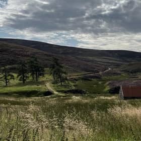 Tha luach oighreachdan na h-Alba air a dhol an àirde gu mòr ri linn na taic airgid poblach a tha ri fhaighinn airson pròiseactan uaine