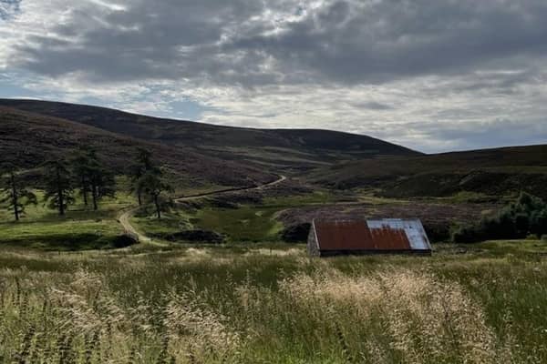 Tha luach oighreachdan na h-Alba air a dhol an àirde gu mòr ri linn na taic airgid poblach a tha ri fhaighinn airson pròiseactan uaine