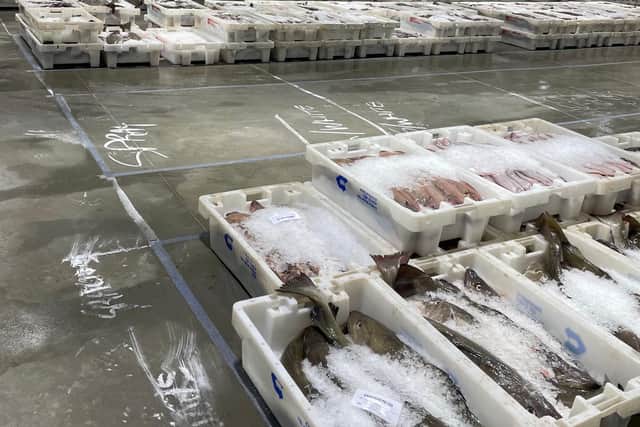 A few crates in the 'ghost town' market at Peterhead as Mr Withers said that exporters are being "crippled" by the Brexit situation (Photo: Will Clark)