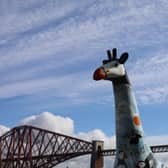 A fond farewell planned for Edinburgh’s very own herd of giraffes – and everyone’s invited