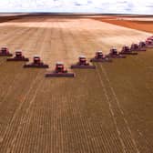 Mass soybean harvesting at a farm in Campo Verde, Brazil