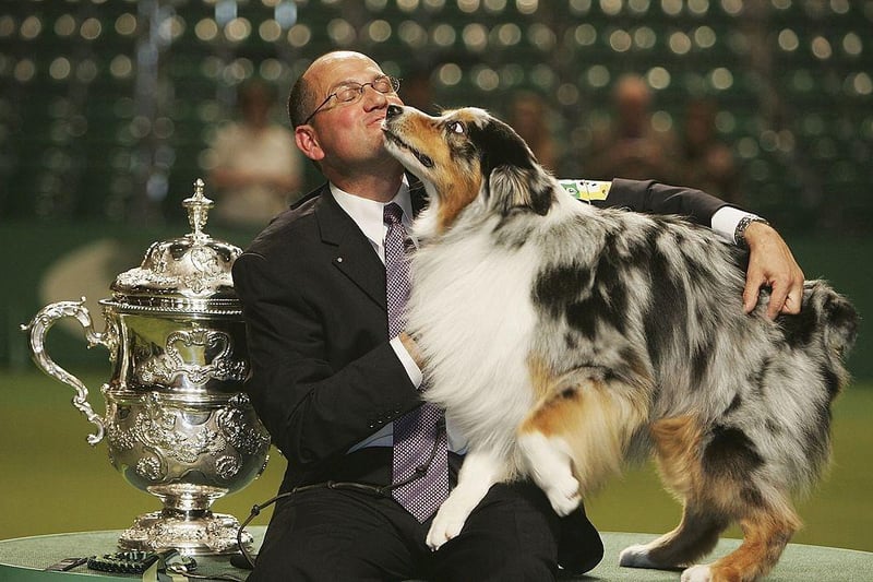 An Australian Shepherd from the USA won the crown in 2006, to the delight of handler Larry Fenner.